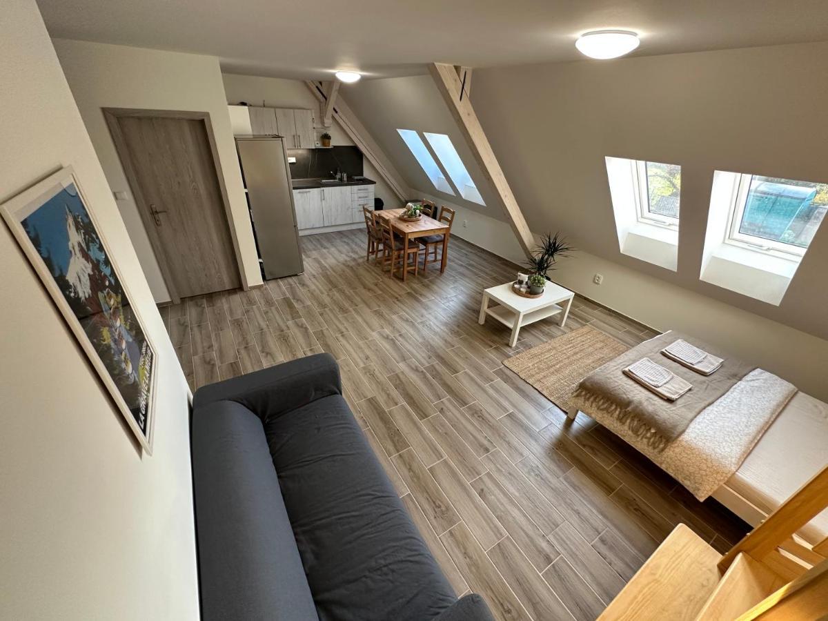 Apartmany Monastery Suites Zirec Dvur Kralove nad Labem Exterior photo